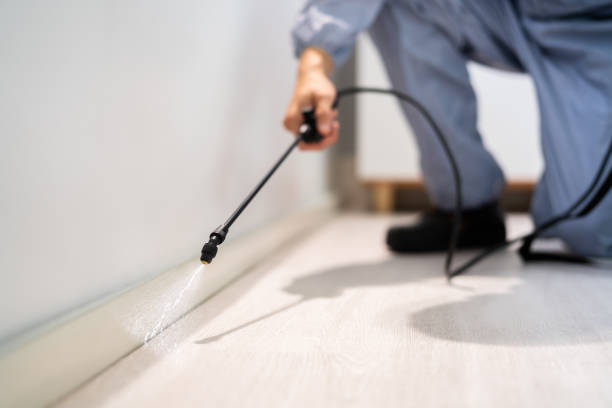 Licensed Mosquito Control service in Kingston, WA - Show Me Pest Control