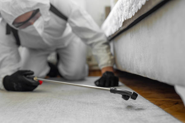 Professional Ant Control technician working in Kingston, WA