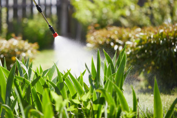 24/7 Emergency Mosquito Control experts in Kingston, WA