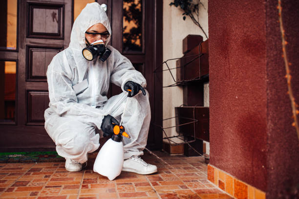 Reliable Mosquito Control contractor in Kingston, WA by Show Me Pest Control