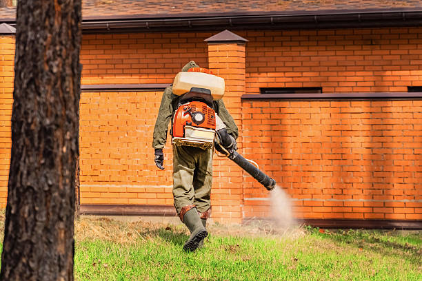 Top rated local Mosquito Control specialists in Kingston, WA